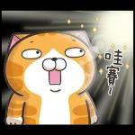 白爛貓11☆超級萌☆
