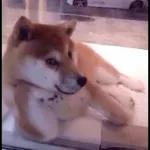 look says many words👀