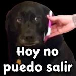 Te quiero
Mucho
Mucho