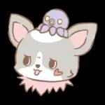 PEKO醬☆冬季繽紛