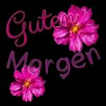 Guten Morgen