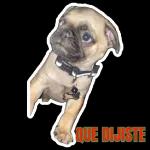 Jesús, María, José y su burro