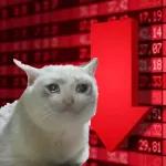 Catchain
                            Catchain