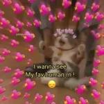 11.06Recommended Stickers