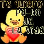 te quiero 🦆 la vida