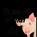 estampas