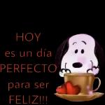 tengo