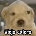 Buenos días!!!