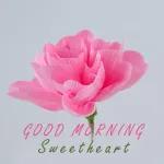 good morning
