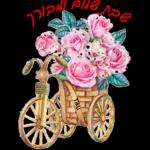 סוכות