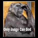 My heart is piece piece 