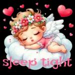 sleep tight