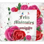 feliz miercoles