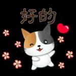 可愛花貓-全年實用問候語貼