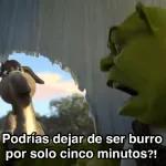 Podrías dejar de ser burro por solo cinco minutos?!