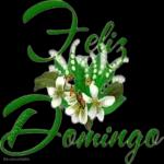 domingo de ramos