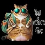 แมวถังแกสอ้วนตุ้บ 03