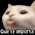 quiero otra ronda de comida