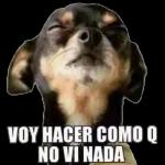 Buenos días D