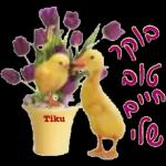 לימור
