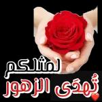 على فكرة
استقتلت