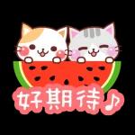 會動的♪ 喵喵團【夏季篇】