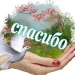 привет.