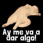 passando so para bater ponto