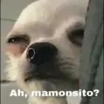 arbiels MyLife VEN Y CÓG3ME 