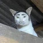 SAMPAI BILA MELAYU NAK KENA TIPU?