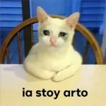 ...