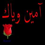 هلا بالغالي