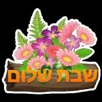 שבת שלום