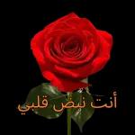 نور