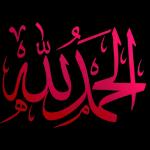 شكرا عليك من القلب