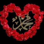 The picture shows a heart made of red roses with a golden pendant in the middle. The pendant has Arabic calligraphy that says 'Muhammad' in Arabic.