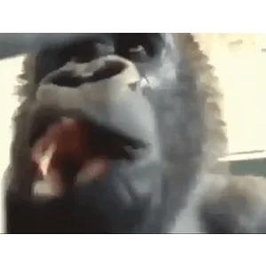 jgFcxg