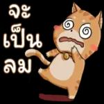 ต่อสิ่งที่ไม่จำเป็นในชีวิตเรา 