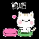 善解人意的小貓貓
