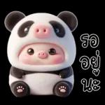 หมูแพนด้าน่ารักจังเลย
