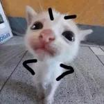 stikers 