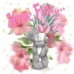 Bear's expressiepakket