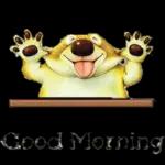 best wish for you