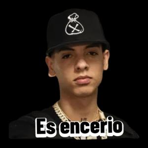 Es encerio - getsticker.com