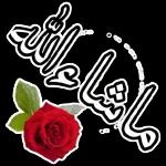 زادت أس
علم ونور وبركة
وهداية وتوفيق