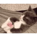 юююжюююэ0лю