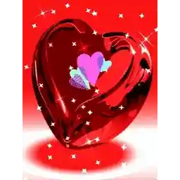 فينك قلب كل دقيقة