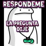 Una Pregunta