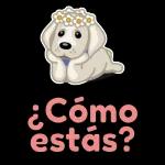 ¿Cómo estás?