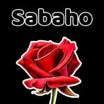 Sabaho